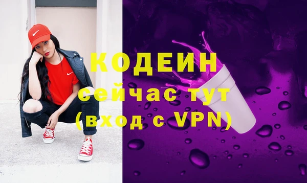 стафф Бородино