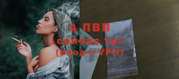 стафф Бородино