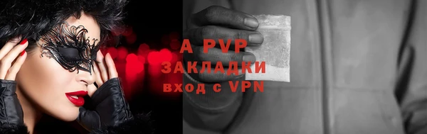 стафф Бородино