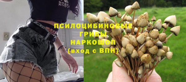 стафф Бородино
