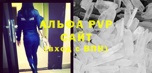 стафф Бородино